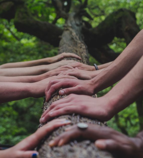 Close-up photo of ten hands placed in a row on a tree branch.