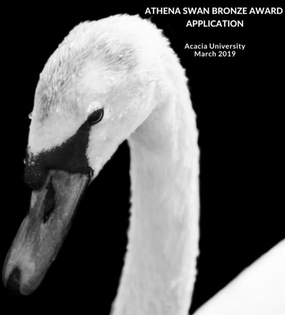 Cover of an Athena Swan application featuring a white swan on a black background and text reading “Athena Swan Bronze Award application Acacia University 2019”.